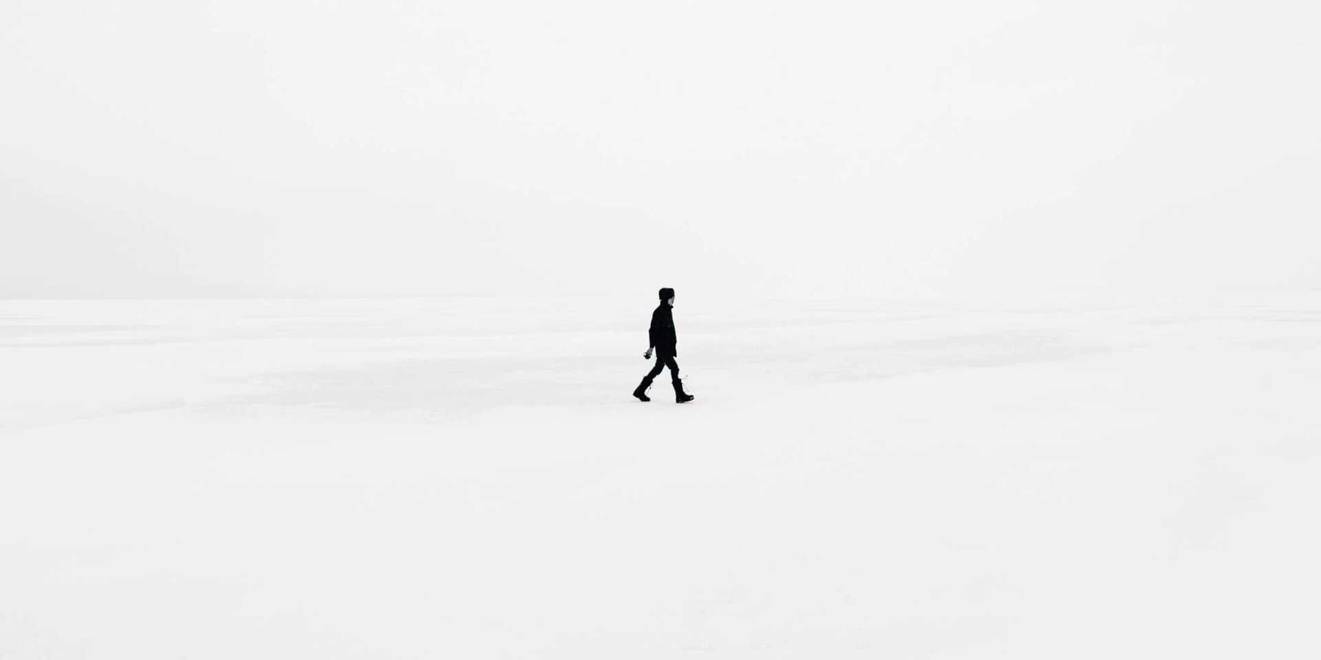 Natural Drawing Online Courses!